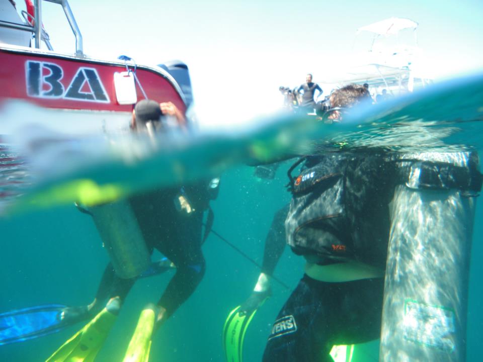 buceo
