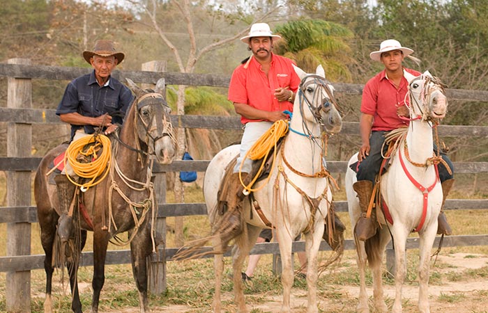 Cowboy for a day tour