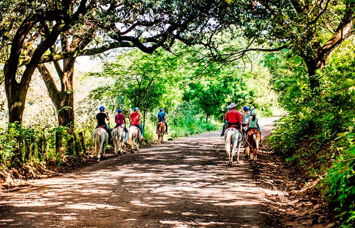 Horseback riding to Oropendula