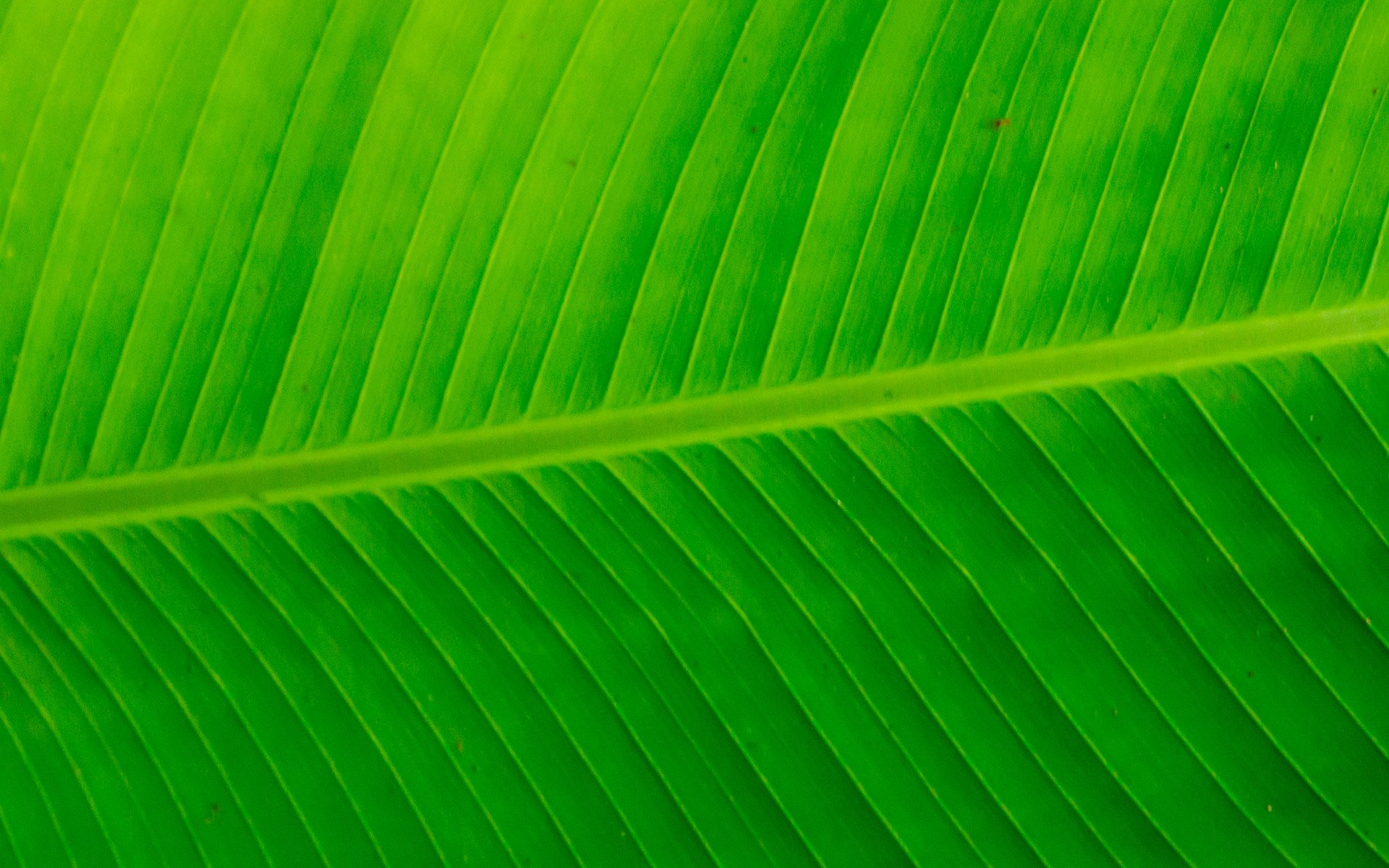 parallax background