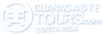 logo_gt_tours_com-1